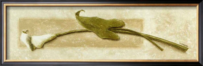 Arome by Veronique Didier-Laurent Pricing Limited Edition Print image