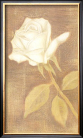 Gorgeous Rose Ii by Lewman Zaid Pricing Limited Edition Print image
