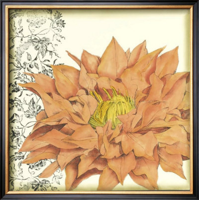 Botanica Iii by Jennifer Goldberger Pricing Limited Edition Print image