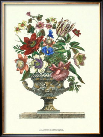 Flowers In An Urn I by Giovanni Battista Piranesi Pricing Limited Edition Print image