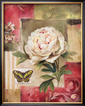 Peony And Butterfly by Lisa Audit Pricing Limited Edition Print image