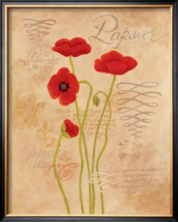 Poppy Fresco I by Adam Guan Pricing Limited Edition Print image