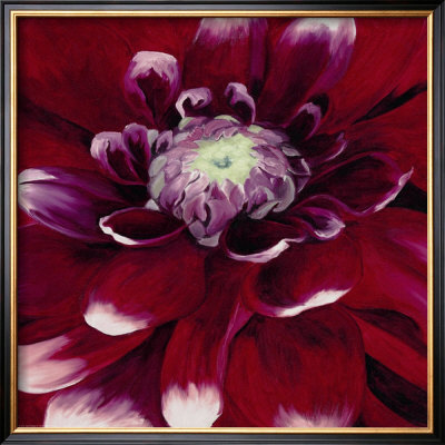 Red Dahlia by Beth Winslow Pricing Limited Edition Print image