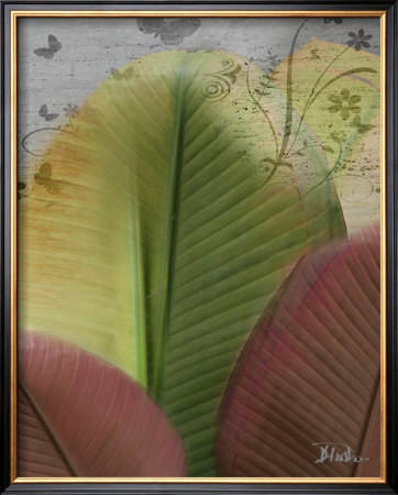 Butterfly Palm I by Patricia Quintero-Pinto Pricing Limited Edition Print image