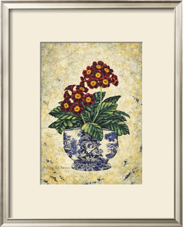 Primula Auricula by Richard Henson Pricing Limited Edition Print image