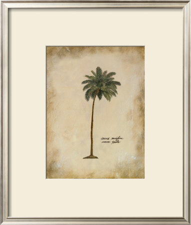 Cocoa Palm by Hewitt Pricing Limited Edition Print image