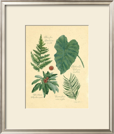 Rainforest Collection Iv by Betty Whiteaker Pricing Limited Edition Print image