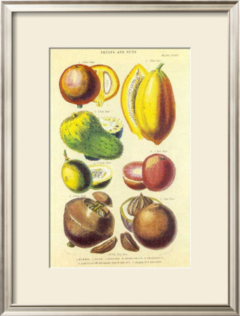History Of The Vegetable Kingdom I by William Rhind Pricing Limited Edition Print image