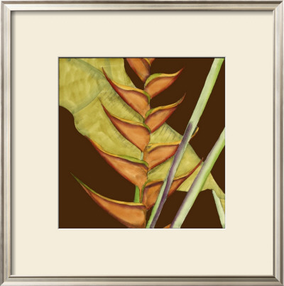 Striking Tropical Iii by Jennifer Goldberger Pricing Limited Edition Print image