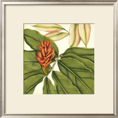 Tropical Blooms And Foliage Ii by Jennifer Goldberger Pricing Limited Edition Print image