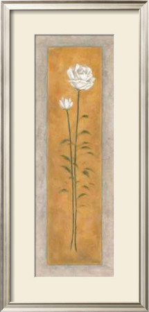 White Rose by Debra Lake Pricing Limited Edition Print image