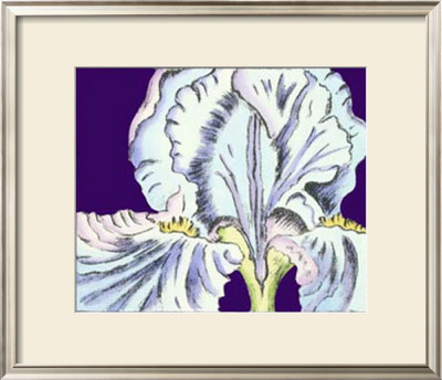 Iris I by Nancy Slocum Pricing Limited Edition Print image