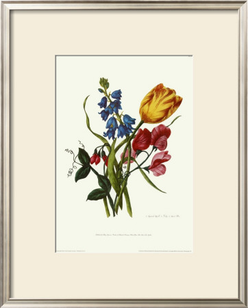 Bouquet With Tulipa Gesneriana by Mary Lawrence Pricing Limited Edition Print image