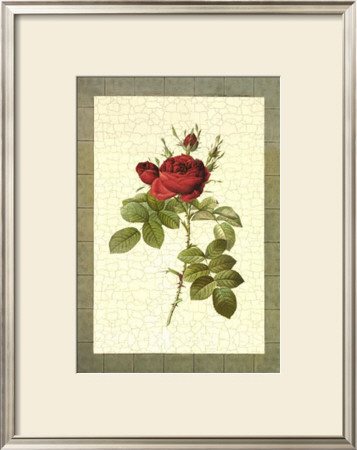 Grandiflora Ii by Sarah Elizabeth Chilton Pricing Limited Edition Print image