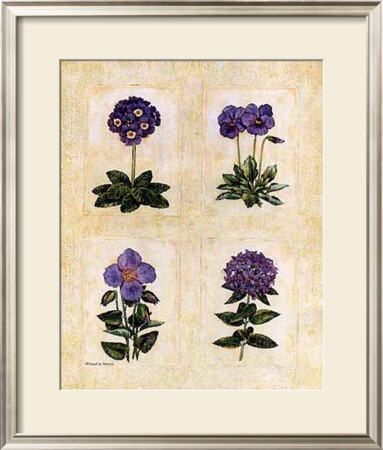Antique Lavender Ii by Richard Henson Pricing Limited Edition Print image