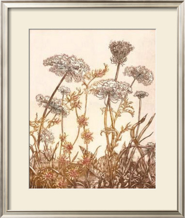 Field Of Lace I by B. Dauman Pricing Limited Edition Print image