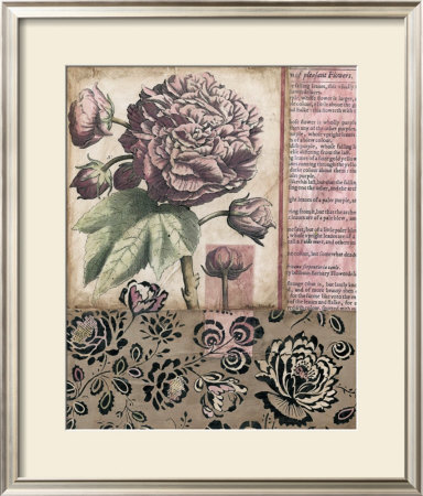 Cottage Rose I by Megan Meagher Pricing Limited Edition Print image
