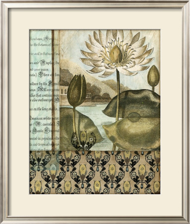 Elegant Water Lily I by Megan Meagher Pricing Limited Edition Print image