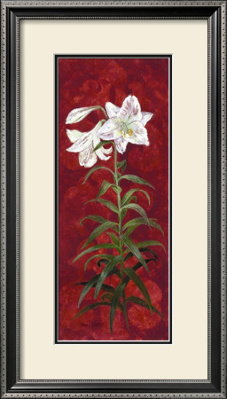 White Lily I by Anne Searle Pricing Limited Edition Print image