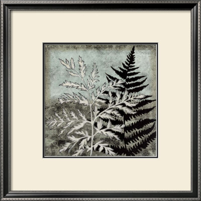 Illuminated Ferns Iv by Megan Meagher Pricing Limited Edition Print image