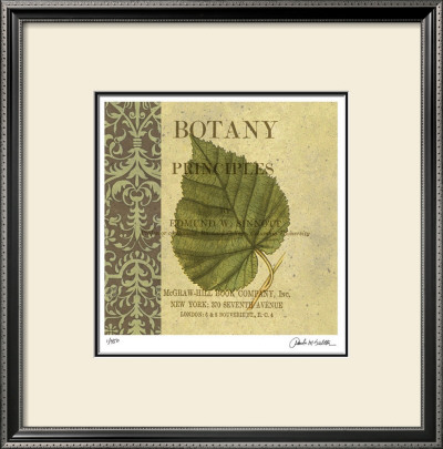 Botany Principles Iii by Paula Scaletta Pricing Limited Edition Print image