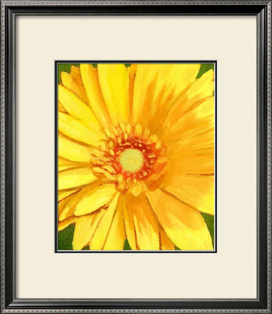 Daisy Burst by Tomiko Tan Pricing Limited Edition Print image