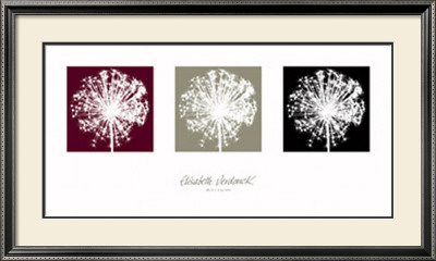 Allium by Elisabeth Verdonck Pricing Limited Edition Print image