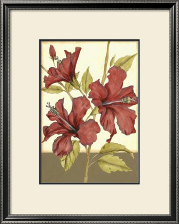 Sophisticated Hibiscus Ii by Jennifer Goldberger Pricing Limited Edition Print image