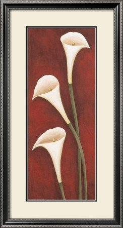 Calla Lilies On Red by Maria Girardi Pricing Limited Edition Print image