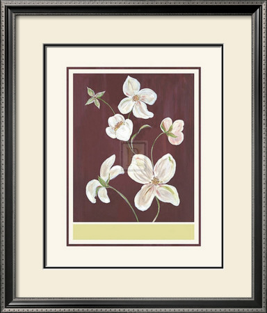 Clematis Ii by Anne Gerarts Pricing Limited Edition Print image