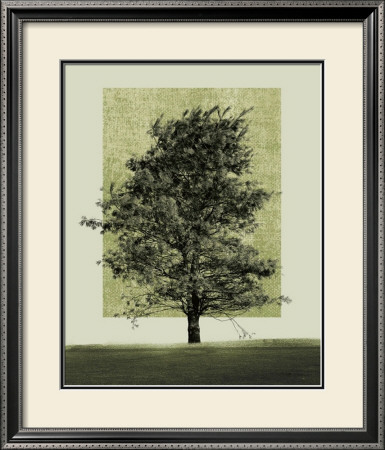 Natures Shapes Ii by Harold Silverman Pricing Limited Edition Print image