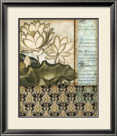 Elegant Water Lily Ii by Megan Meagher Pricing Limited Edition Print image