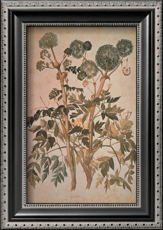 Angelica Arcangelica by Jacopo Ligozzi Pricing Limited Edition Print image