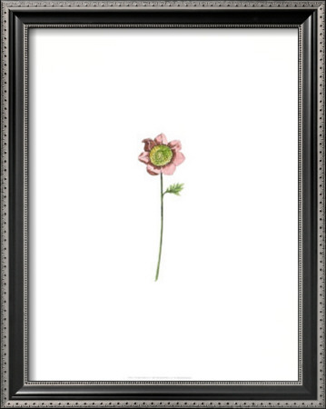 Techno Flower Iv by Deborah Bookman Pricing Limited Edition Print image