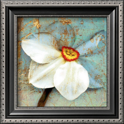 Narcissus by Marion Mcconaghie Pricing Limited Edition Print image