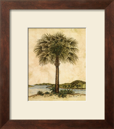 Palm Paradise Ii by Dianne Krumel Pricing Limited Edition Print image