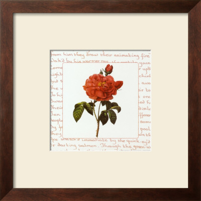 Roses Iii by Pierre-Joseph Redouté Pricing Limited Edition Print image