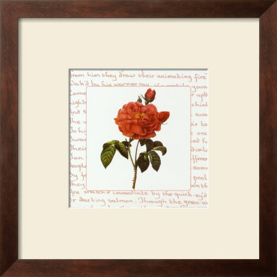 Roses Iii by Pierre-Joseph Redoute Pricing Limited Edition Print image