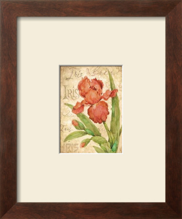 Belle Fleur Ii by Betty Whiteaker Pricing Limited Edition Print image