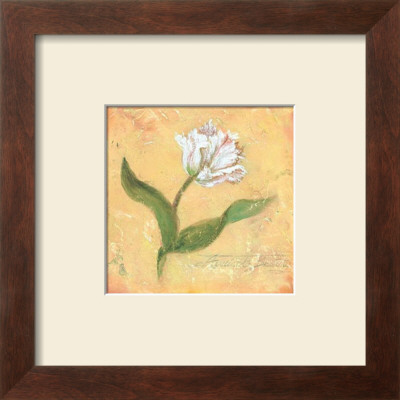 Apricot Beauty by Shari White Pricing Limited Edition Print image