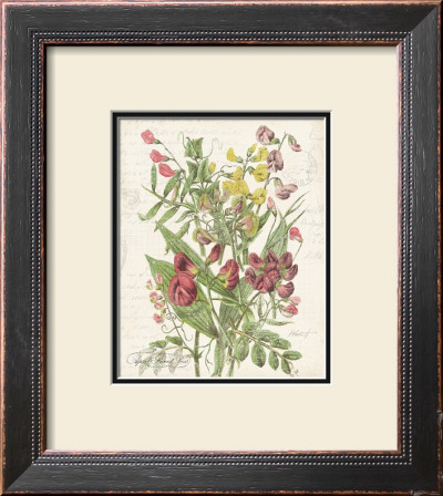 April Sweet Pea by Katie Pertiet Pricing Limited Edition Print image