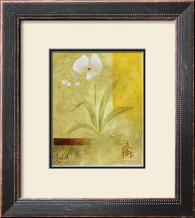 Butterfly Orchid by Fernando Leal Pricing Limited Edition Print image