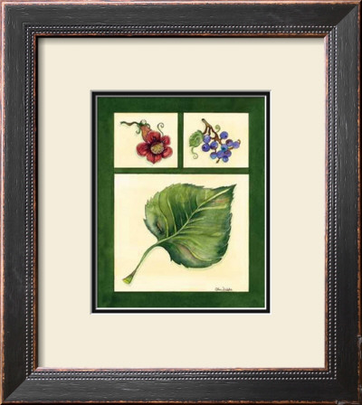 Leaf Study Iii by Chris Wilsker Pricing Limited Edition Print image