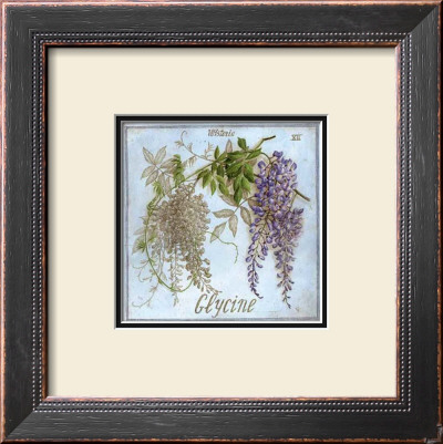 Glycine by Vincent Jeannerot Pricing Limited Edition Print image