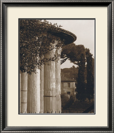 Pillars With Vines by Nelson Figueredo Pricing Limited Edition Print image