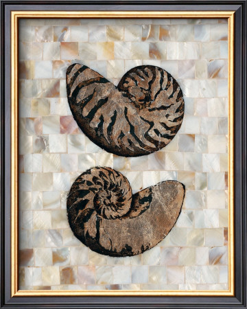Pearlized Nautilus by Regina-Andrew Design Pricing Limited Edition Print image