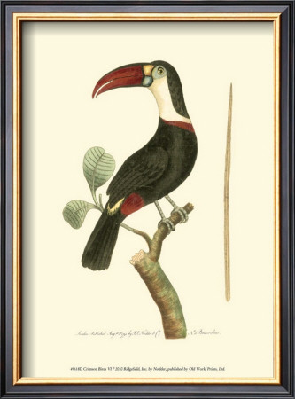 Crimson Birds Vi by Frederick P. Nodder Pricing Limited Edition Print image