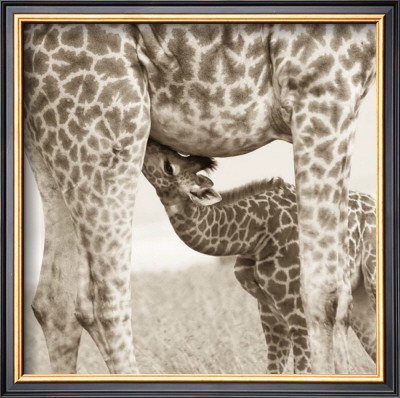 Precious Moments Iii by Susann & Frank Parker Pricing Limited Edition Print image