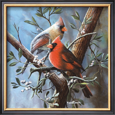 Cardinal by Kevin Daniel Pricing Limited Edition Print image