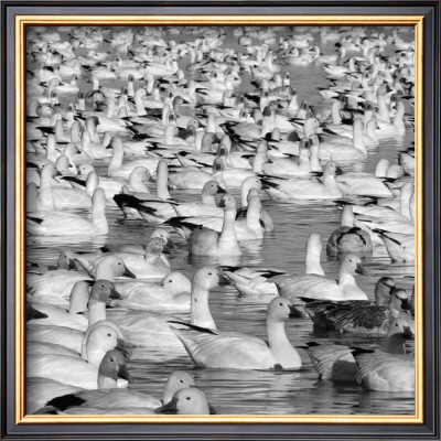 Matinee Fluide by Jean-Francois Dupuis Pricing Limited Edition Print image
